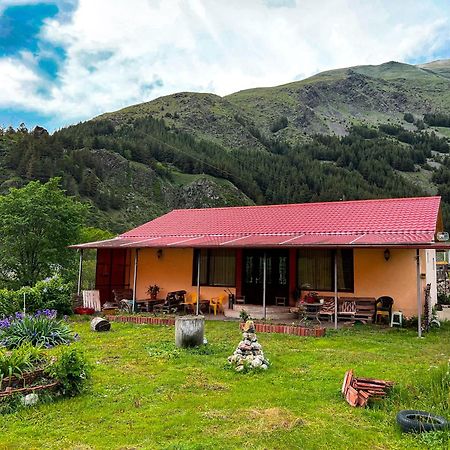 januka garden sno Villa Kazbegi Exteriör bild