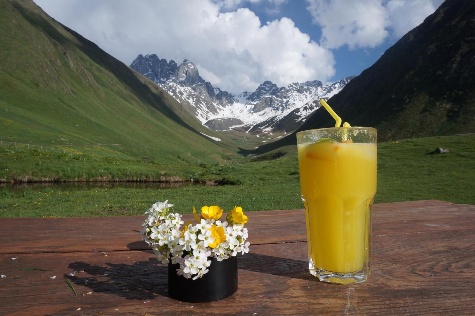 januka garden sno Villa Kazbegi Exteriör bild