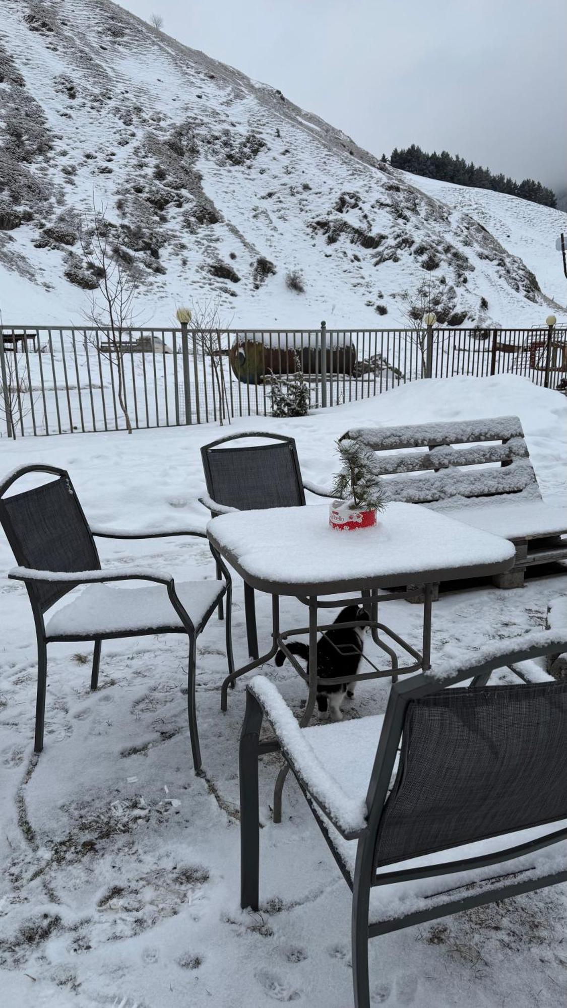 januka garden sno Villa Kazbegi Exteriör bild